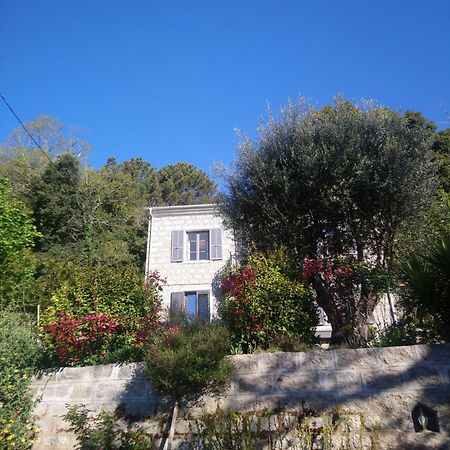 Casa Tanghicciola Daire Levie Dış mekan fotoğraf