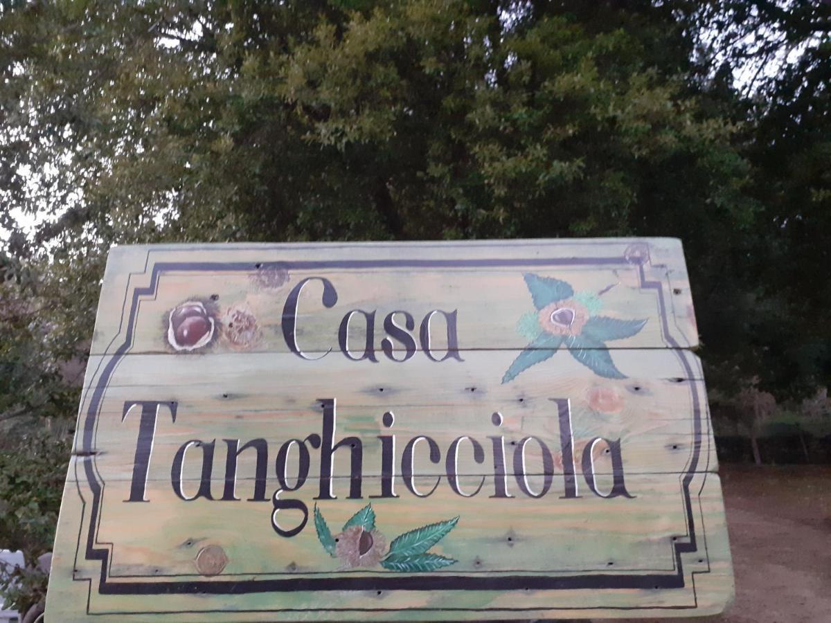 Casa Tanghicciola Daire Levie Dış mekan fotoğraf