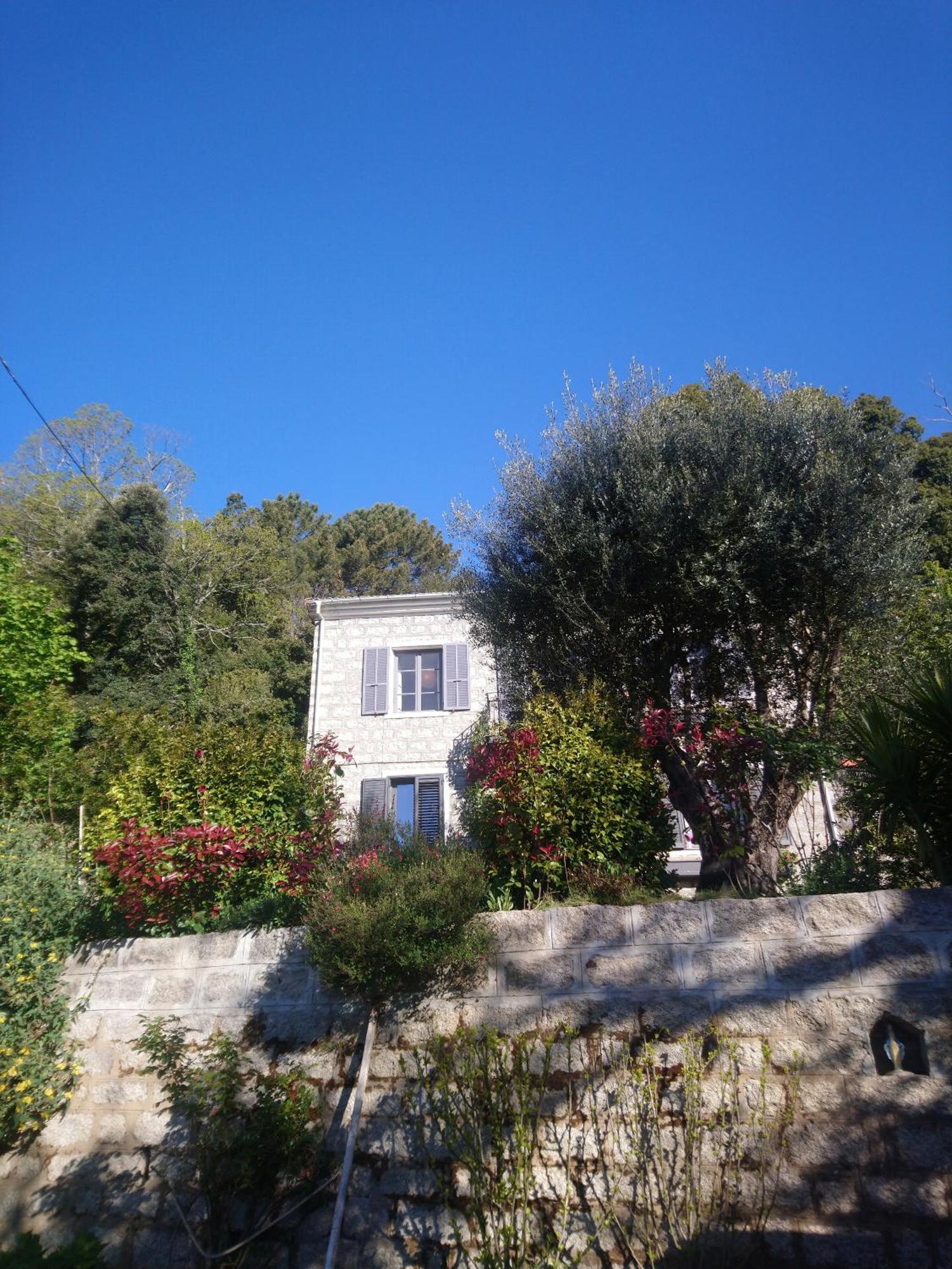 Casa Tanghicciola Daire Levie Dış mekan fotoğraf