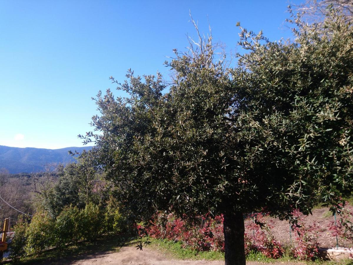 Casa Tanghicciola Daire Levie Dış mekan fotoğraf